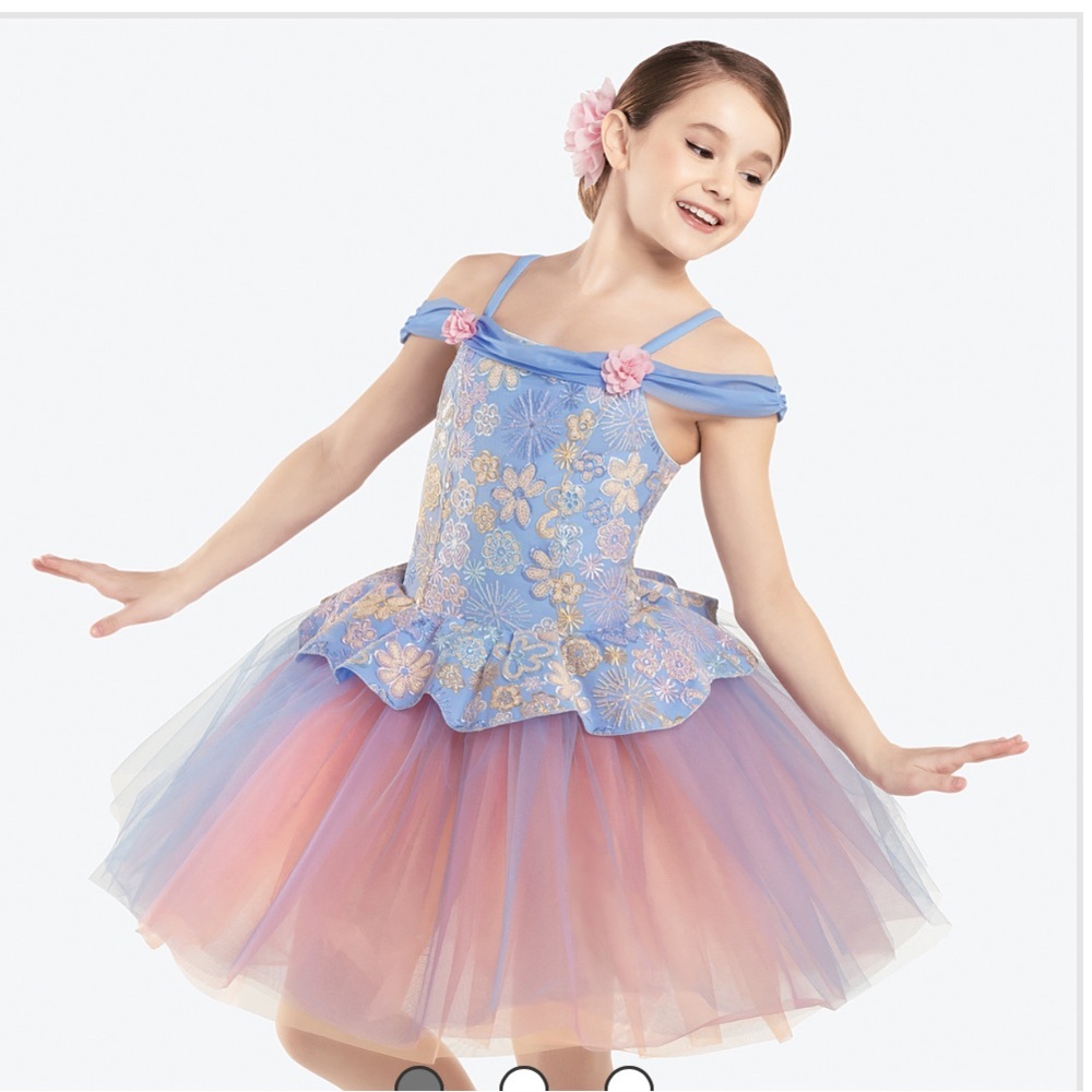 Ballerina Dance Costume